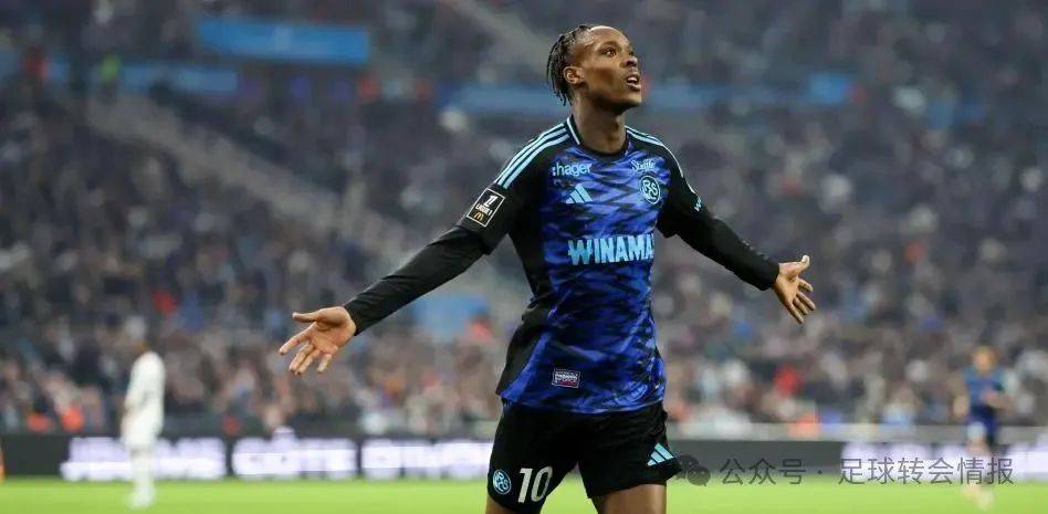 的高水准 的高水准