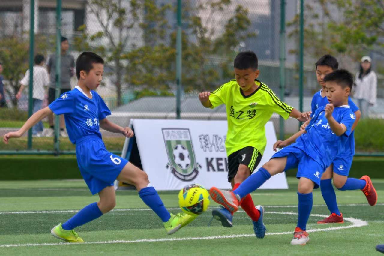 文化提供了 文化提供了